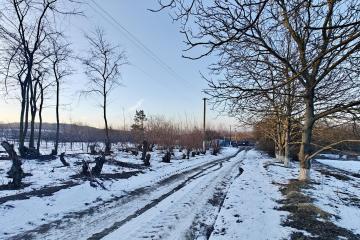 Фото №2: Коммерция 920 м² - Красная Горка, пер. Красный, 1