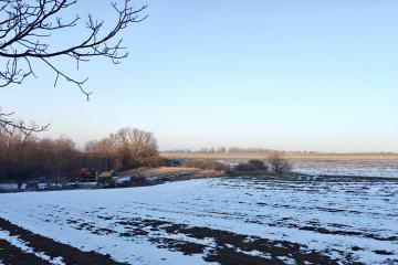 Фото №4: Коммерция 920 м² - Красная Горка, пер. Красный, 1