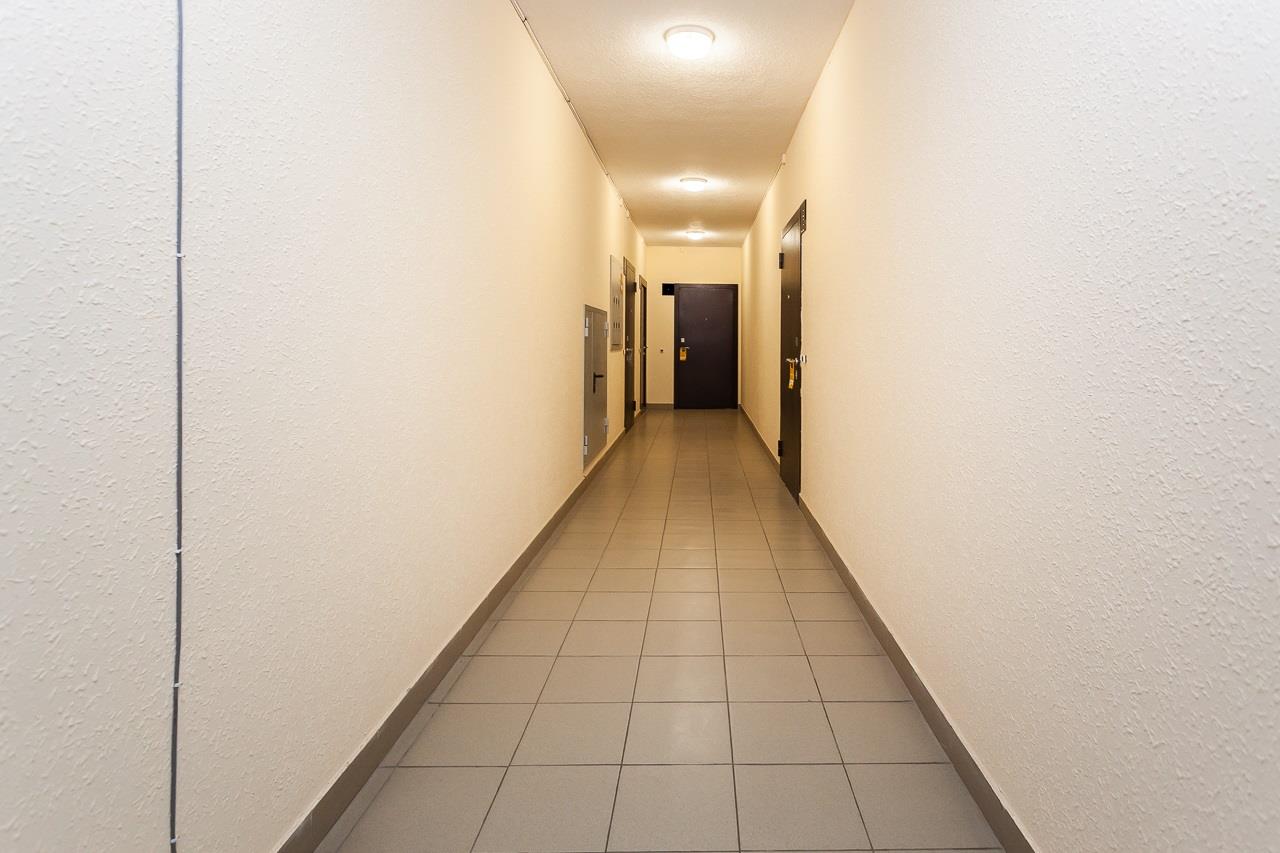 Фото №12: Студия 25 м² - Краснодар, Прикубанский внутригородской округ, мкр. Славянский, ул. Красных Партизан, 1/4к21