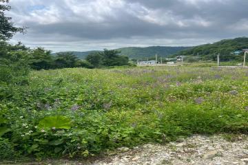 Фото №5: Земельный участок 4.38 сот. - СТ Озёрное, 102