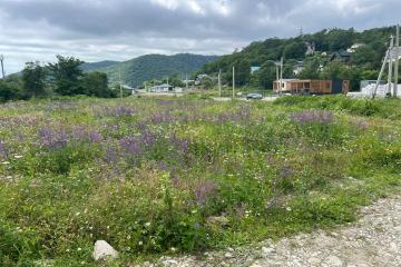 Фото №1: Земельный участок 4.38 сот. - СТ Озёрное, 102