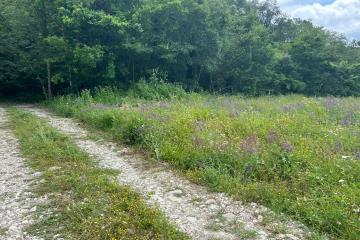 Фото №5: Земельный участок 4.38 сот. - СТ Озёрное, 102