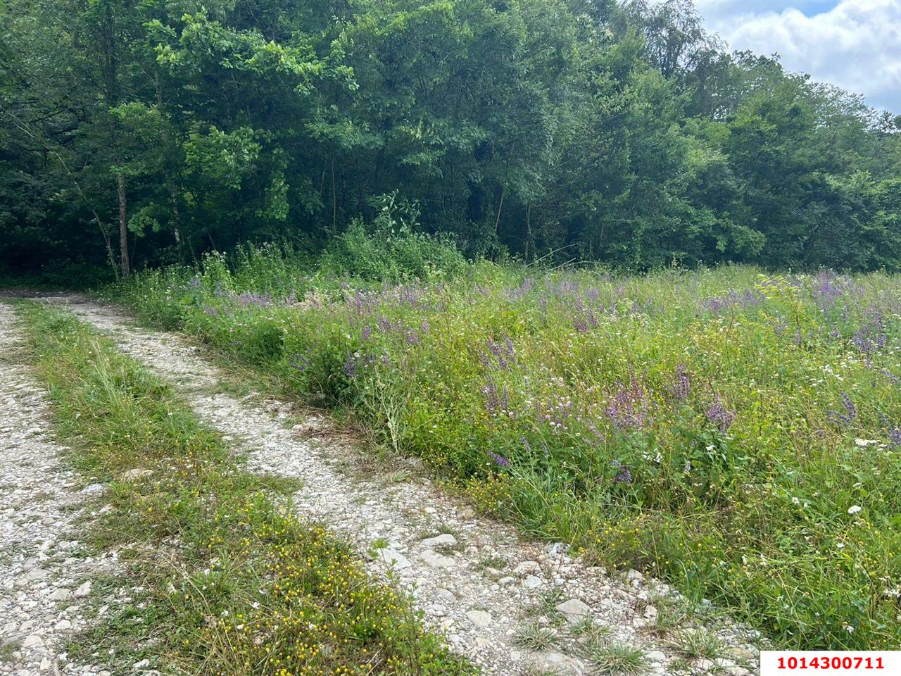 Фото №3: Земельный участок 4.38 сот. - СТ Озёрное, 102