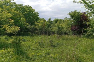 Фото №5: Земельный участок под ИЖС 8 сот. - Козет, 