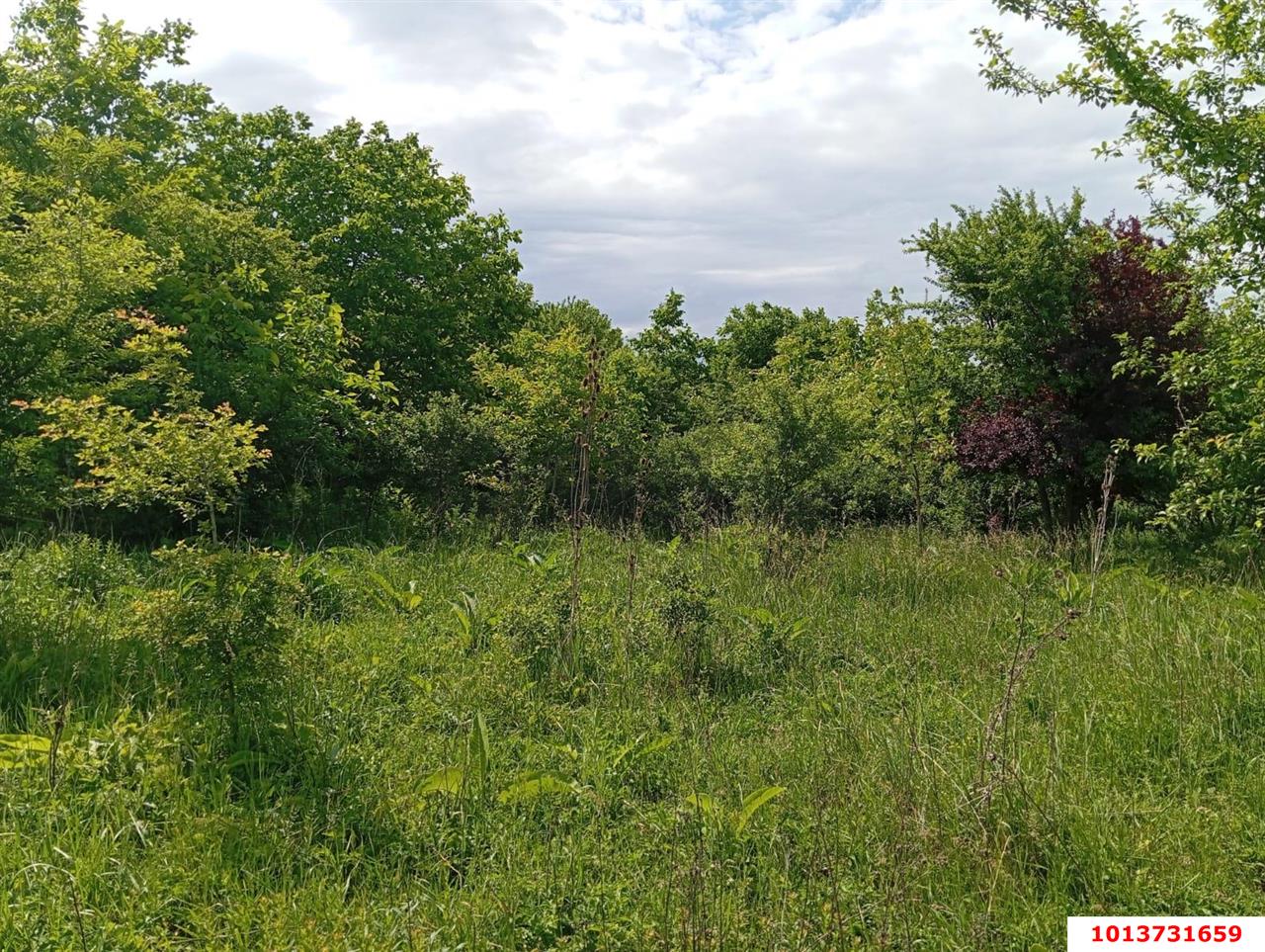 Фото №5: Земельный участок под ИЖС 8 сот. - Козет