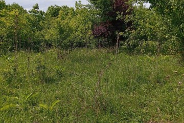 Фото №4: Земельный участок под ИЖС 8 сот. - Козет, 