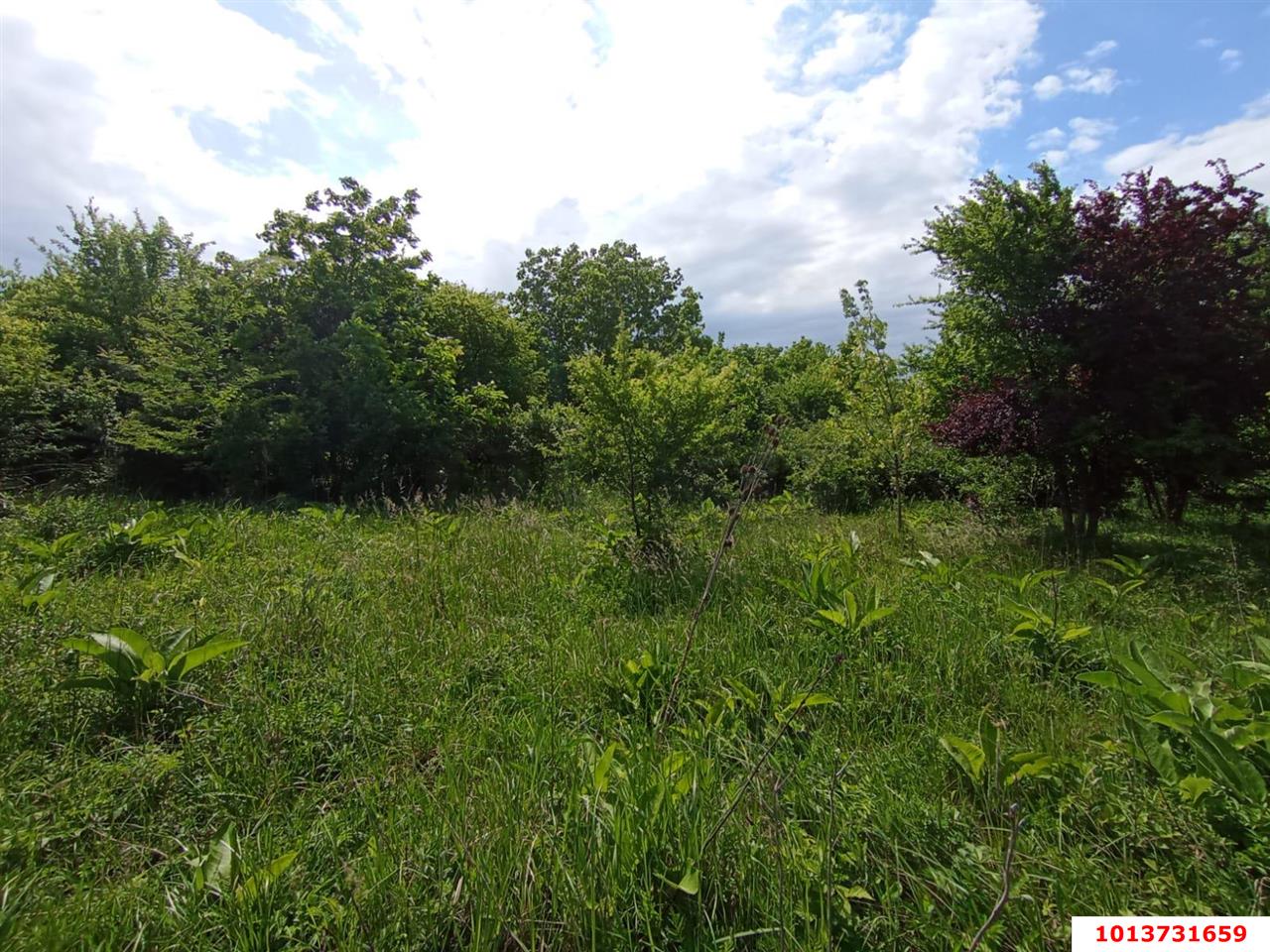 Фото №6: Земельный участок под ИЖС 8 сот. - Козет