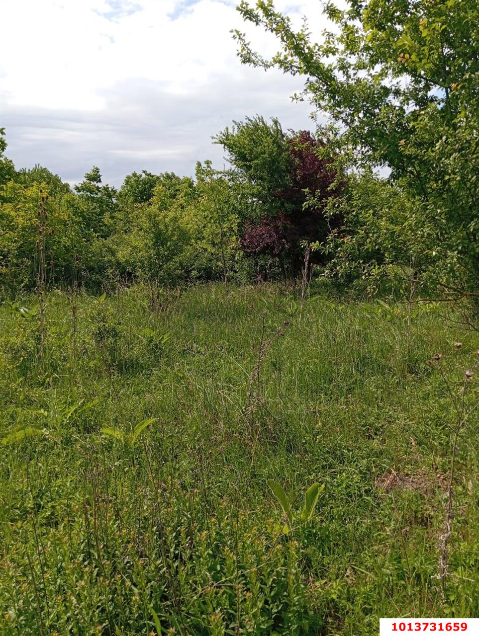 Фото №4: Земельный участок под ИЖС - Козет