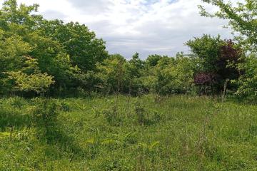 Фото №5: Земельный участок 8 сот. - Козет, 