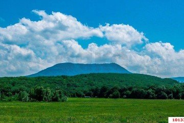 Фото №2: Участок садоводство 932.4 сот. - Краснодарский край Северский район