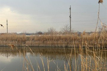 Фото №1: Коммерческая земля 867 сот. - Берёзовый, мкр. СНТ Прогресс, ул. Новая, 1