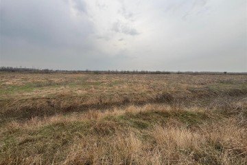 Фото №5: Коммерческая земля 867 сот. - Берёзовый, мкр. СНТ Прогресс, ул. Новая, 1