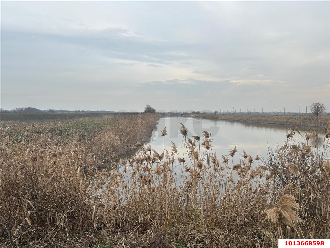 Фото №5: Коммерческая земля 867 сот. - Берёзовый, СНТ Прогресс, ул. Новая, 1