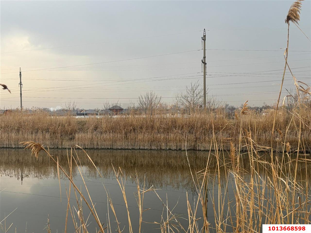 Фото №3: Коммерческая земля 867 сот. - Берёзовый, СНТ Прогресс, ул. Новая, 1