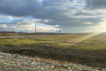 Фото №3: Земельный участок 5.5 сот. - Григорьевская, п. коттеджный  Новая Григорьевская, ул. имени Расула Гамзатова, 1