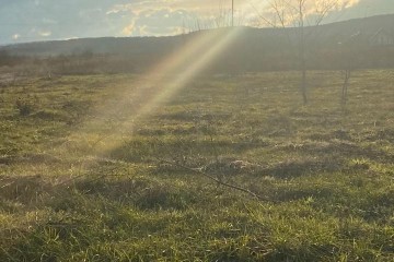 Фото №2: Земельный участок под ИЖС 5.5 сот. - Григорьевская, п. коттеджный  Новая Григорьевская, ул. имени Расула Гамзатова, 1