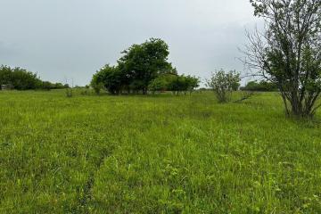 Фото №1: Коммерция 250 м² - Четук, ул. Ленина