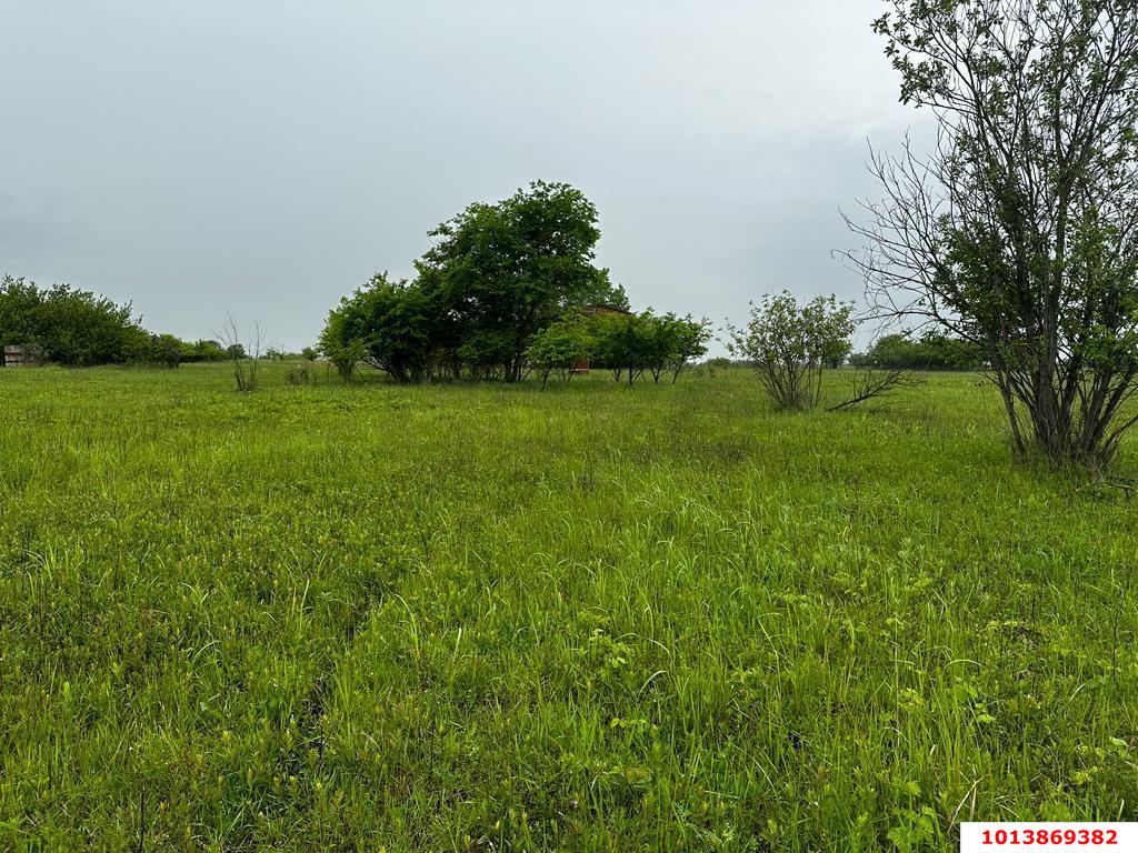 Фото №1: Коммерция 250 м² - Четук, ул. Ленина