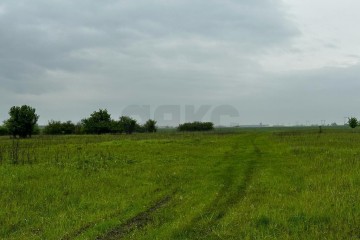 Фото №4: Коммерческая земля 250 сот. - Четук, ул. Ленина