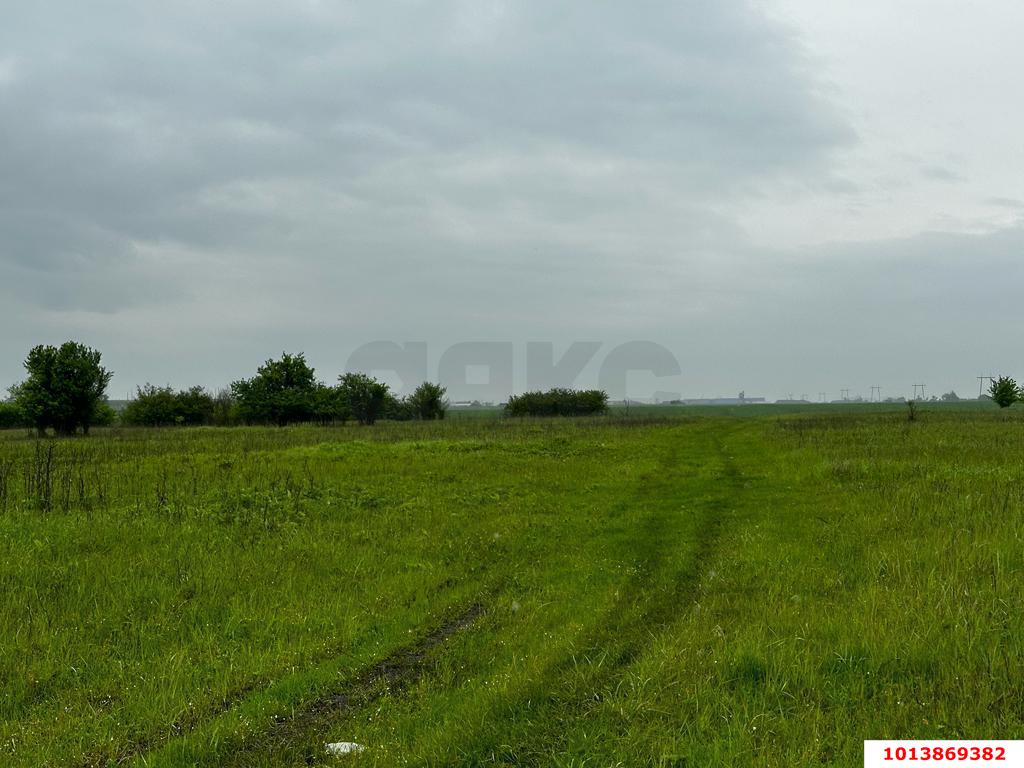 Фото №4: Коммерческая земля 250 сот. - Четук, ул. Ленина