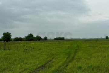 Фото №4: Коммерция 250 м² - Четук, ул. Ленина