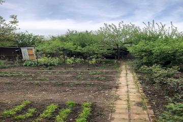 Фото №5: Дача 38 м² - Связист, мкр. Прикубанский внутригородской округ, ул. Энтузиастов, 65