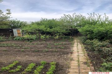 Фото №5: Дача 38 м² - Связист, мкр. Прикубанский внутригородской округ, ул. Энтузиастов, 65