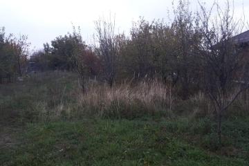 Фото №4: Личное подсобное хозяйство - Липники, р. Адлерский, ул. Липецкая, 14