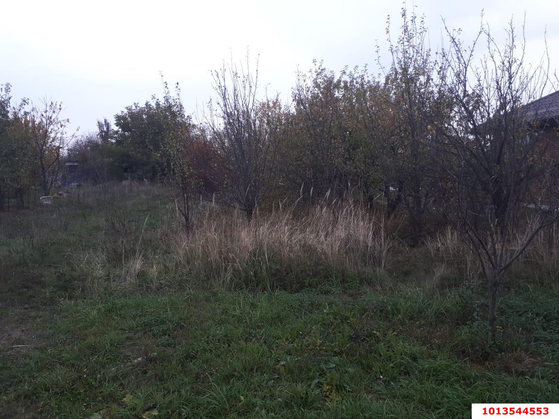 Фото №4: Личное подсобное хозяйство - Липники, р. Адлерский, ул. Липецкая, 14