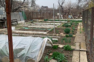 Фото №4: Дом 53 м² - Краснодар, ж/м Пашковский, ул. Комсомольская, 120