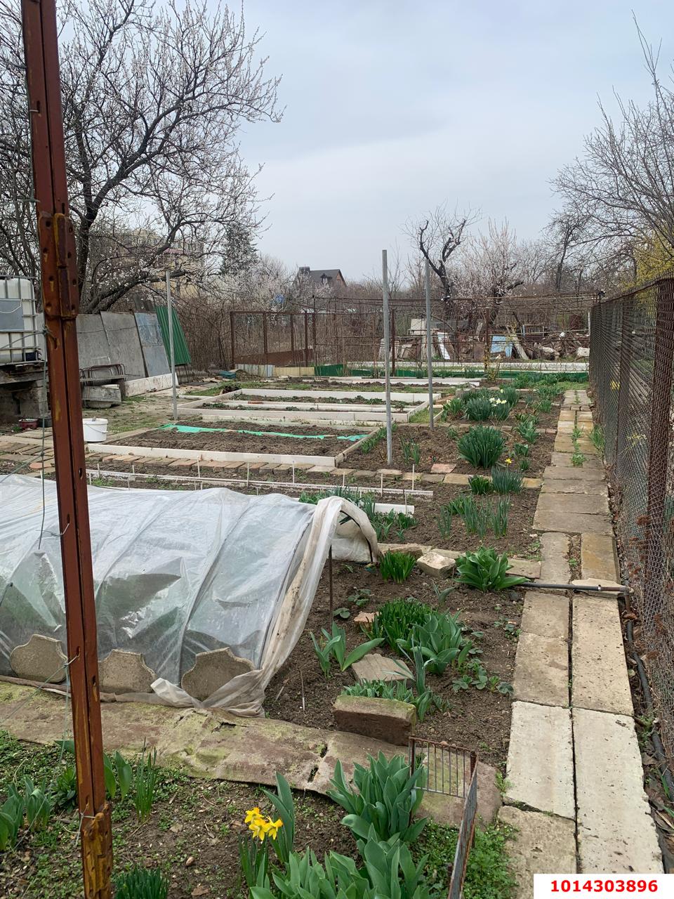 Фото №4: Дом 53 м² + 6.6 сот. - Краснодар, Карасунский внутригородской округ, ж/м Пашковский, ул. Комсомольская, 120