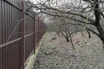 Фото №3: Участок садоводство 5 сот. - СНТ Кубань, мкр. Прикубанский внутригородской округ, ул. Черешневая, 6