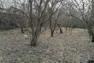 Фото №4: Участок садоводство 5 сот. - СНТ Кубань, мкр. Прикубанский внутригородской округ, ул. Черешневая, 6