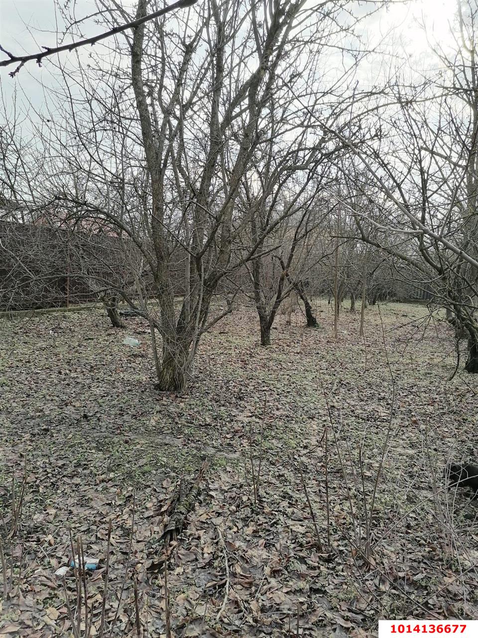 Фото №4: Участок садоводство 5 сот. - СНТ Кубань, Прикубанский внутригородской округ, ул. Черешневая, 6