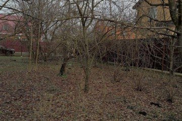 Фото №2: Участок садоводство 5 сот. - СНТ Кубань, мкр. Прикубанский внутригородской округ, ул. Черешневая, 6