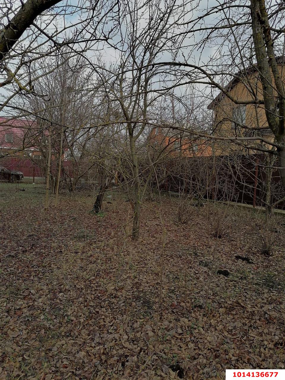 Фото №2: Участок садоводство 5 сот. - СНТ Кубань, Прикубанский внутригородской округ, ул. Черешневая, 6