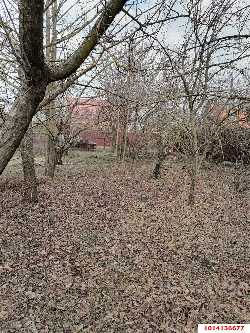 Фото №1: Участок садоводство 5 сот. - СНТ Кубань, Прикубанский внутригородской округ, ул. Черешневая, 6