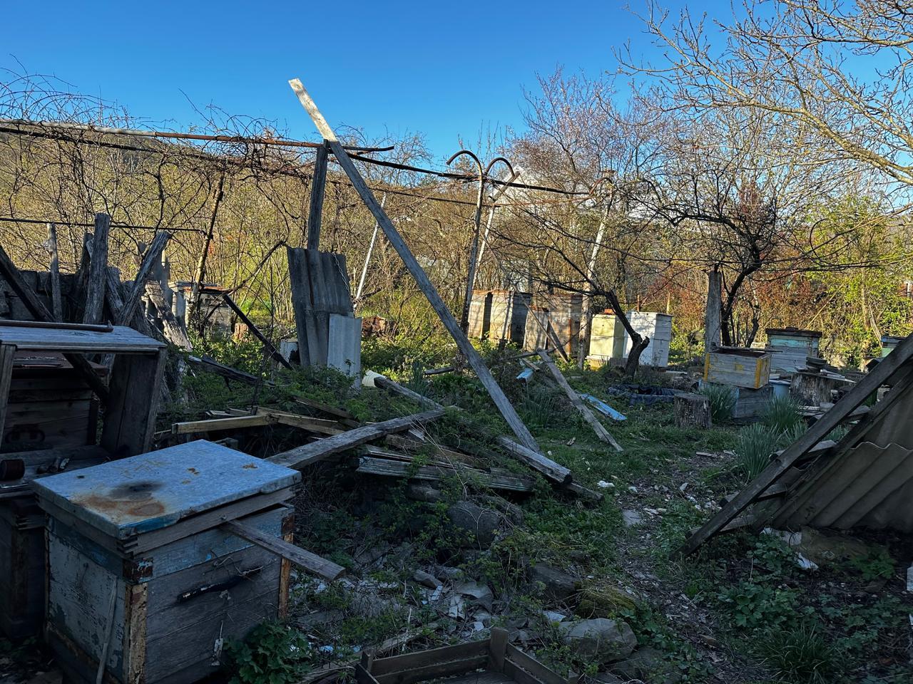 Фото №5: Дом 52 м² + 13.5 сот. - Молдавановка, ул. Центральная, 35