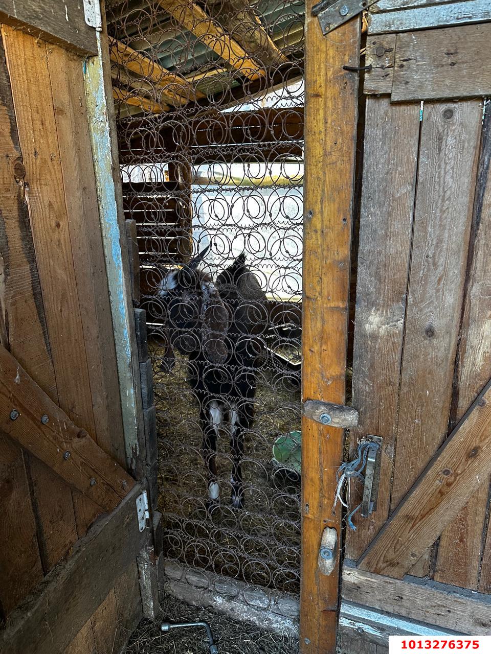 Фото №10: Дом 52 м² + 13.5 сот. - Молдавановка, ул. Центральная, 35