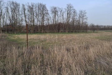 Фото №4: Земельный участок под ИЖС 10.58 сот. - Ленинградская, ул. 70 лет Победы, 69