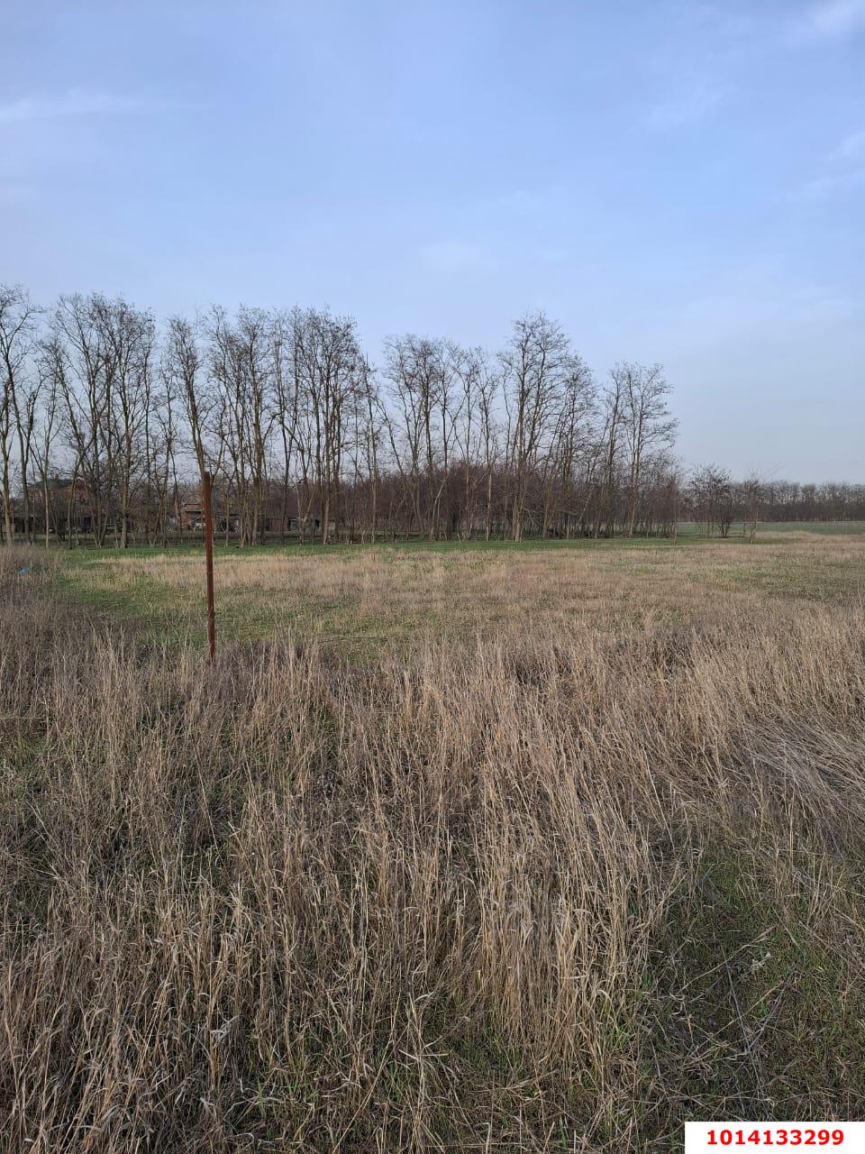 Фото №4: Земельный участок под ИЖС 10.58 сот. - Ленинградская, ул. 70 лет Победы, 69