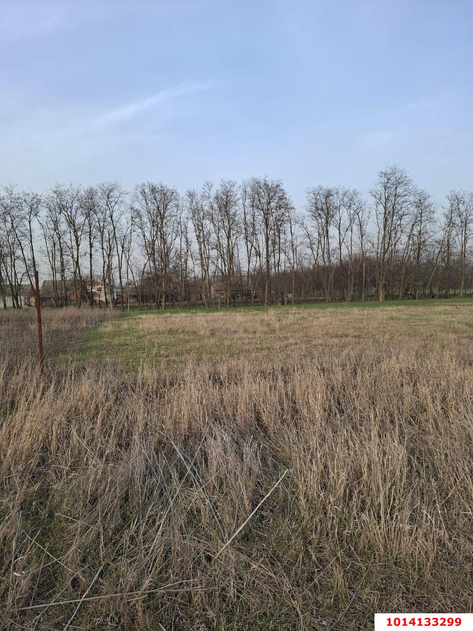 Фото №5: Земельный участок под ИЖС 10.58 сот. - Ленинградская, ул. 70 лет Победы, 69