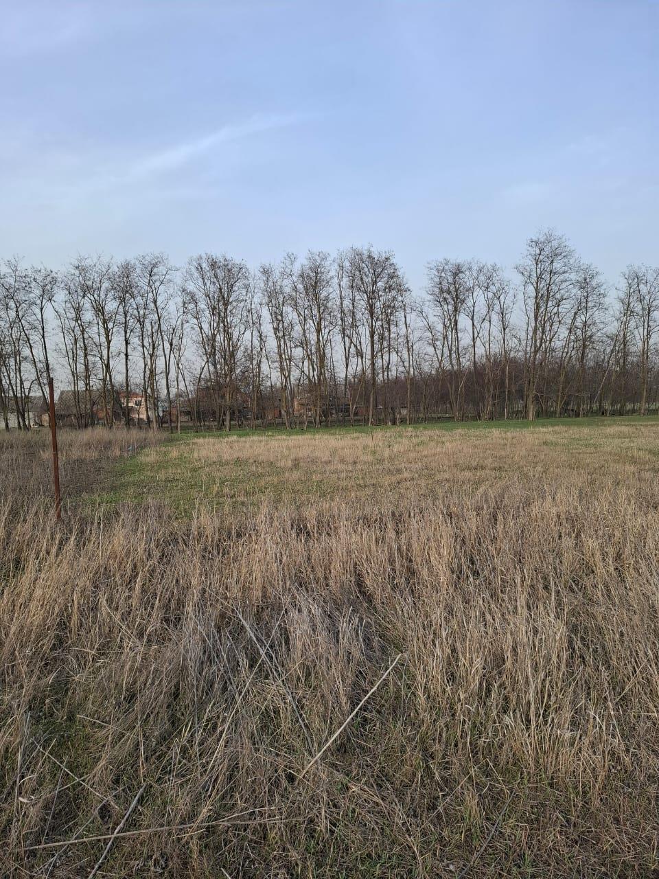 Фото №5: Земельный участок 10.58 сот. - Ленинградская, ул. 70 лет Победы, 69