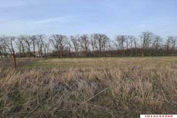 Фото №5: Земельный участок 10.58 сот. - Ленинградская, ул. 70 лет Победы, 69