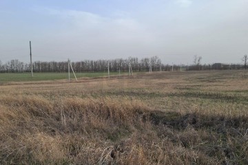 Фото №2: Земельный участок под ИЖС 10.58 сот. - Ленинградская, ул. 70 лет Победы, 69