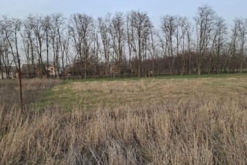 Фото №5: Земельный участок под ИЖС 10.58 сот. - Ленинградская, ул. 70 лет Победы, 69