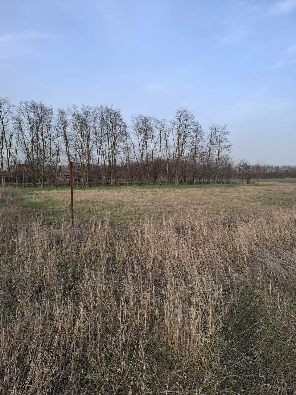 Фото №4: Земельный участок 10.58 сот. - Ленинградская, ул. 70 лет Победы, 69