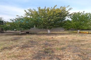 Фото №2: Дом 93 м² - Архангельская, ул. Станичная, 54