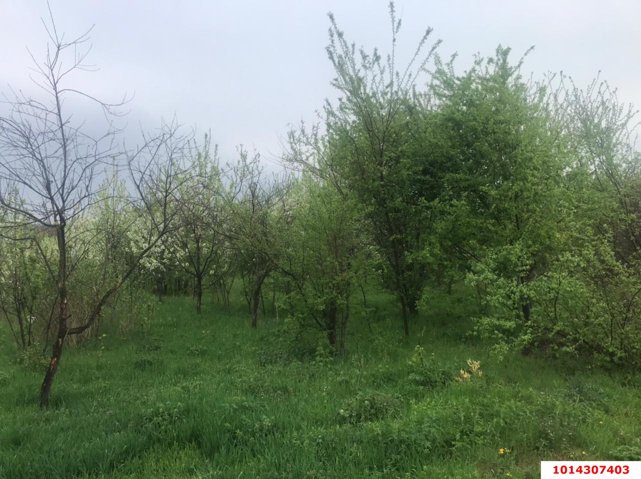 Фото №6: Дом 43 м² + 50 сот. - Пролетарский, ул. Кирпичная, 21