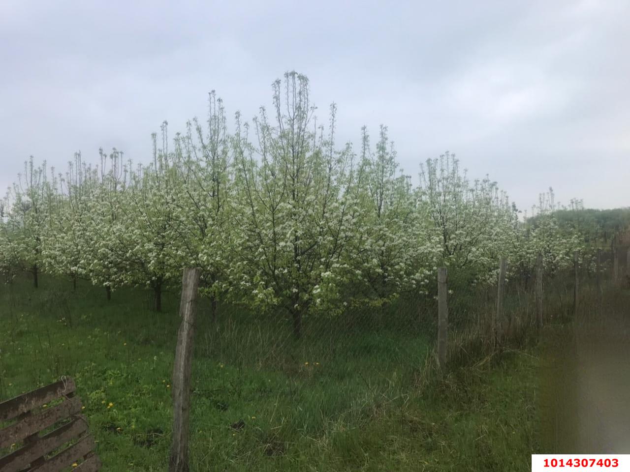 Фото №10: Дом 43 м² + 50 сот. - Пролетарский, ул. Кирпичная, 21